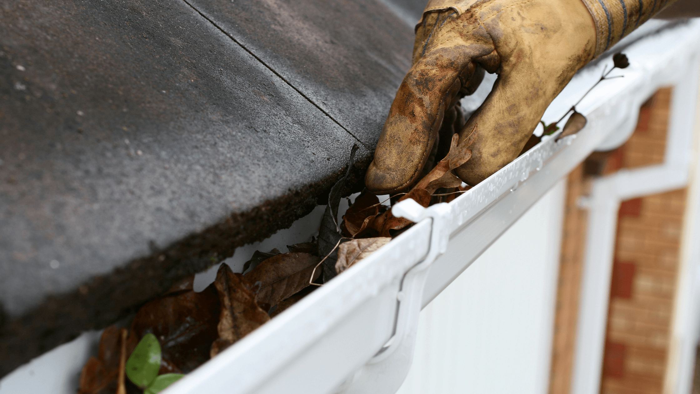 best gutter cleaning robot